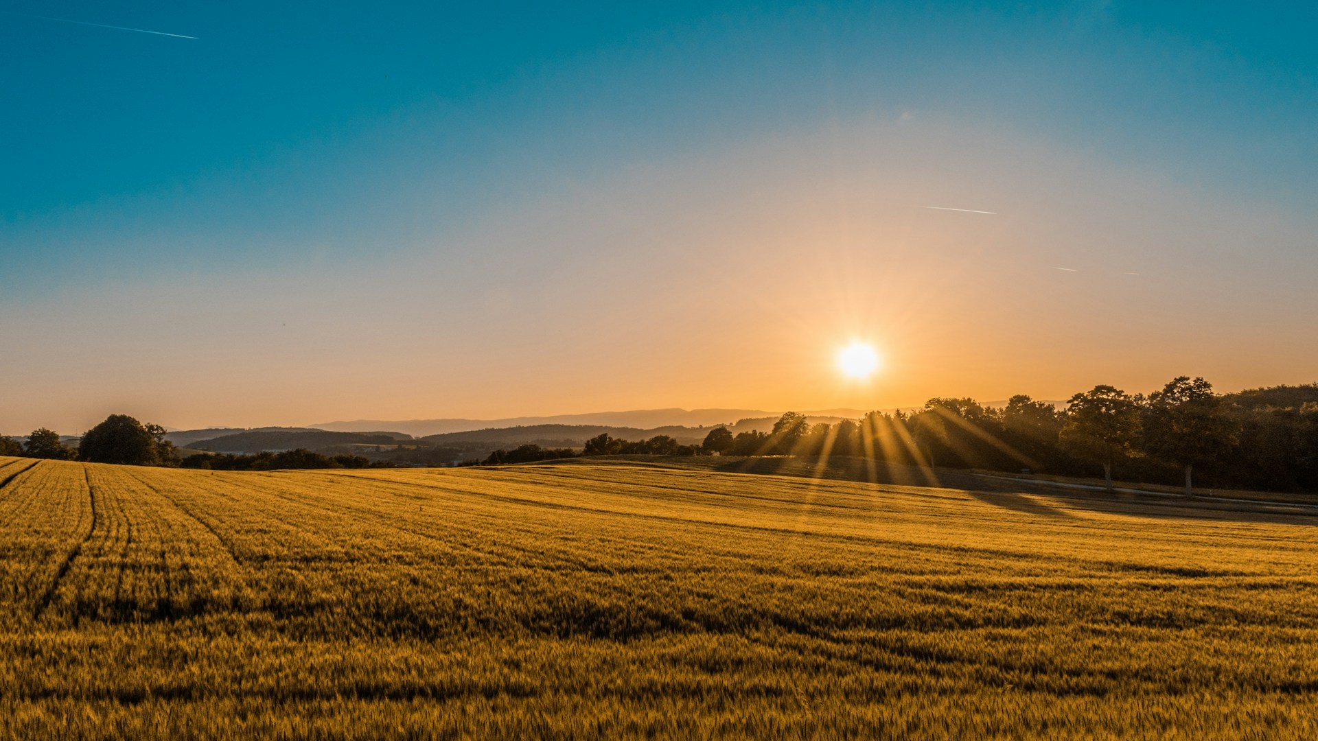 East Dorset